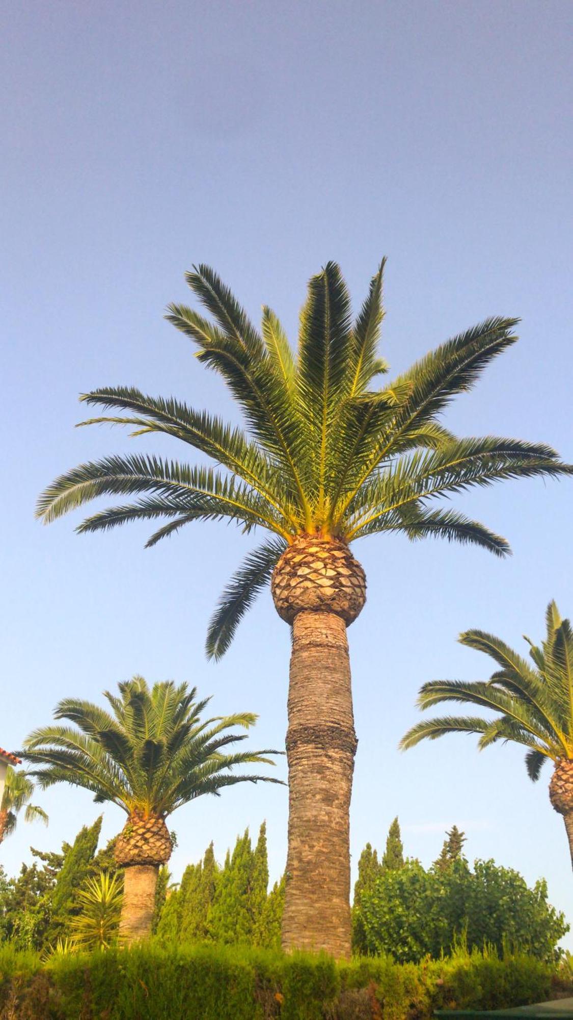 فيلا Denia El Palmar 183 المظهر الخارجي الصورة